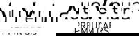 Carmeleon Dealerlocket logo