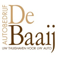 Carmeleon Dealerlocket logo